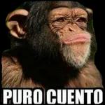 pack varios