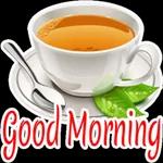 good morning🌹