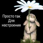 добрый день