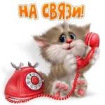 Хочу, люблю,жду