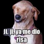 pack varios