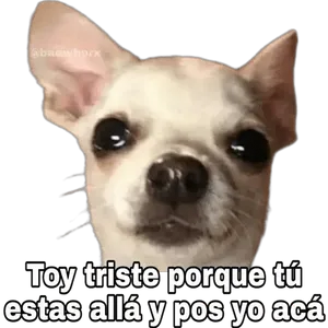 Mun8L5