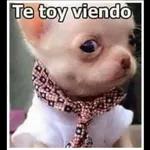 tuerqiuiza