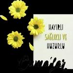 amin