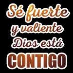 feliz día 
