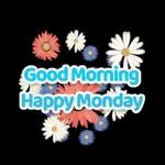 New Monday🌞