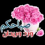 نسانهاییصباح الخ