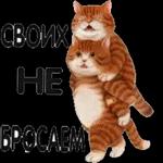 быстро поцелуй