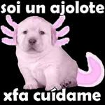 ajolotes