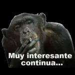 Claro que sí