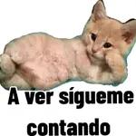 mis etiquetas