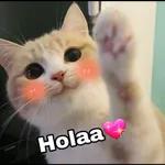 buen dia