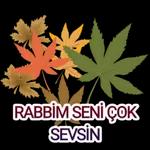 sevim