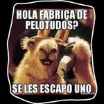 quee!
