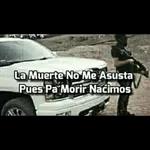 CJNG (יט'