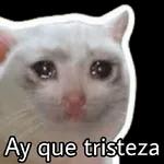 Abrazooo