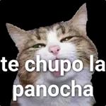 Y si Mejor te La chupo