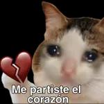 Que hago? 