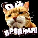 Чмок ТЯ!