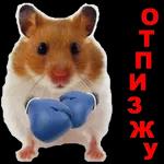 иди в пень