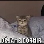 tengo