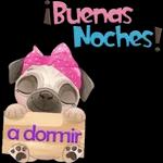 buenas noches