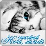 спокойной ночи