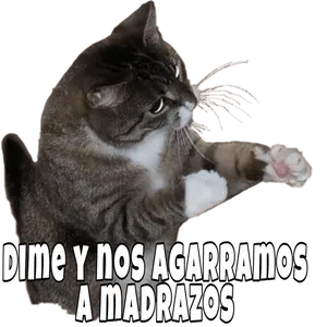 JRIfY6