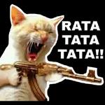 rata