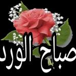 صباح الخير