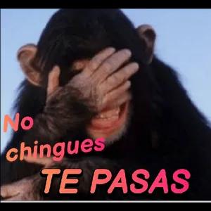 gpiesx