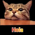 Buen dia