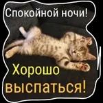 спокойной ночи