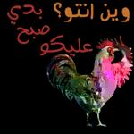 السلام عليكم
