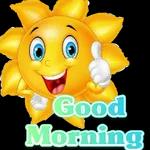 Bạn có thích hoa anh đào không?