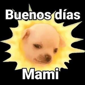 ukchmo