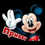 My Pack 26