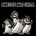 ЖДУ.ТЕБЯ ДОМА!