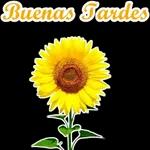 Hola! BUENAS TARDES
