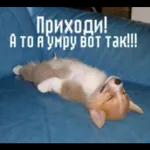 Хочу, люблю,жду