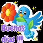 Buenos dias