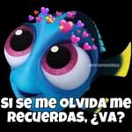 todito