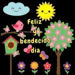 Pack 12