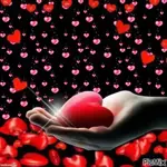 Herzlich grüsse🌹