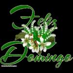 feliz domingo