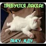 Хочу, люблю,жду