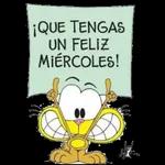 Feliz día
