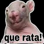 rata