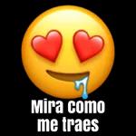mi vida 