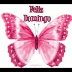 feliz domingo